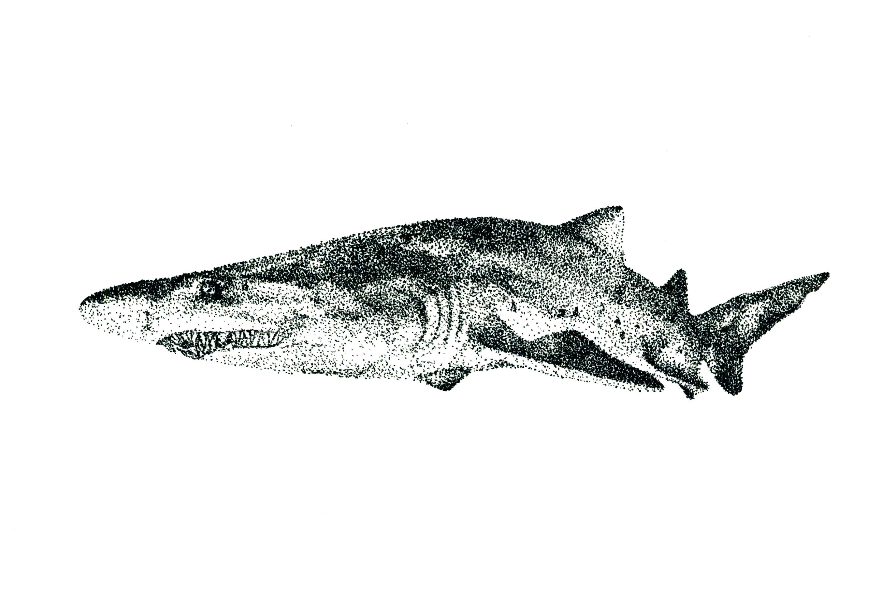 Especies peligrosas